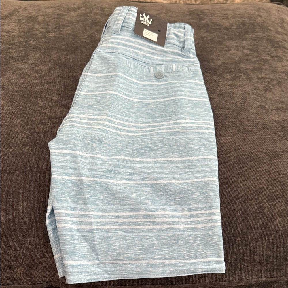 Boys Micros Blue Striped Shorts